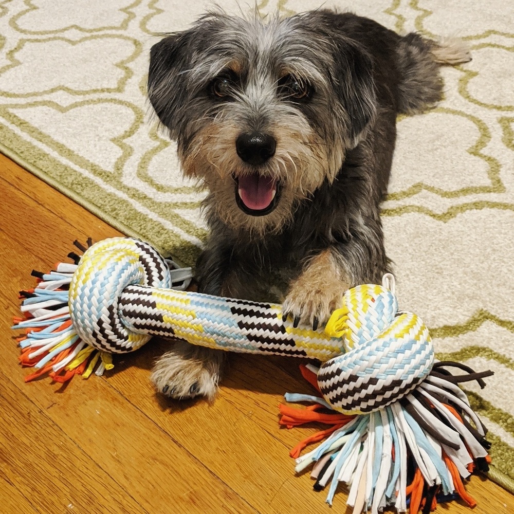 Meet your Posher, John